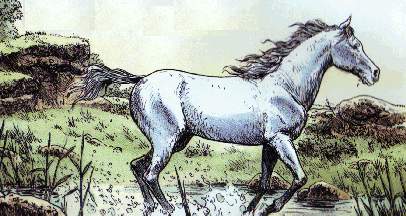  Le Lombard (EDL-B&M s.a./n.v.) - 2000 - Delaby / Dellisse